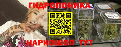 a pvp Усть-Илимск