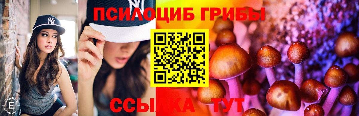Галлюциногенные грибы GOLDEN TEACHER Назарово